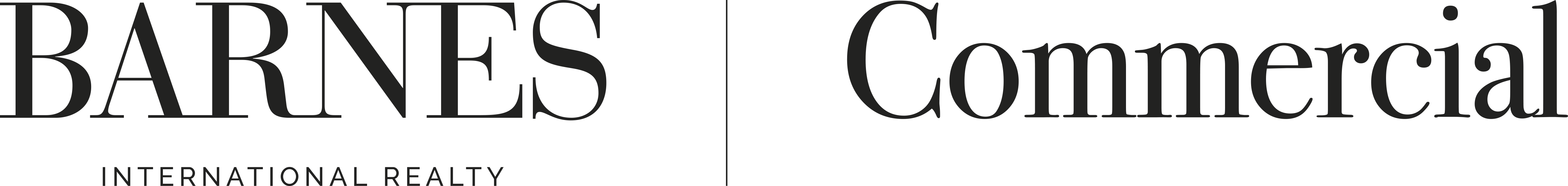 Logo_Barnes_commercial_Noir_2025.png